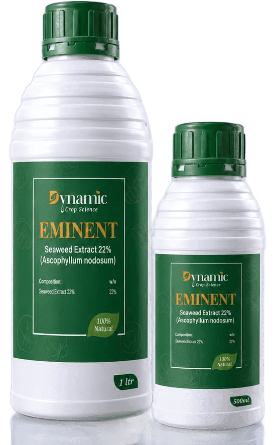 EMINENT pack