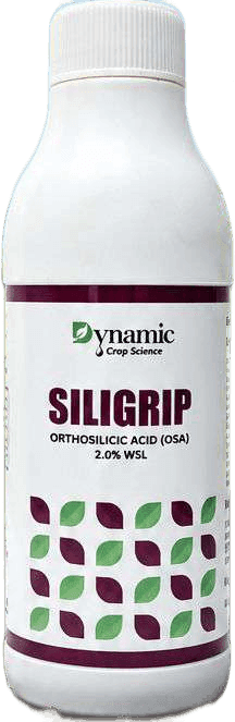SILIGRIP pack