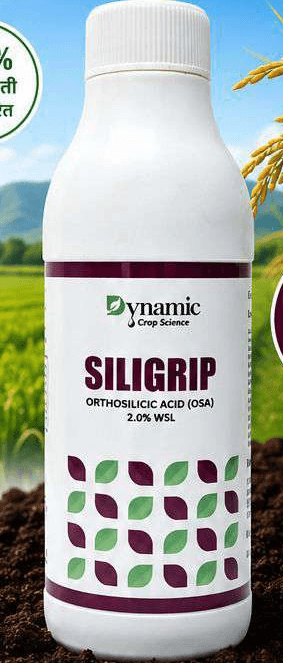 SILIGRIP pack